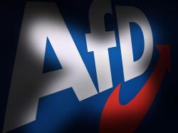 Reisen in die Ideologie: AfD trifft auf MAGA-Bewegung