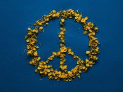 ✨ EU friert russische Vermögenswerte ein, um Nutzung für Ukraine zu sichern